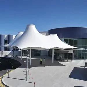 Customized Traps ForTensile Membrane Structure